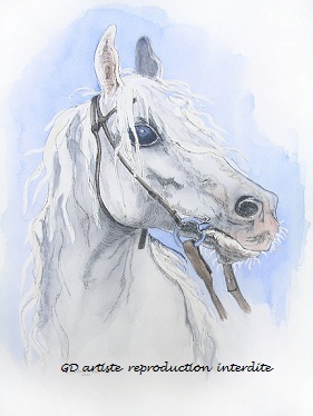 aquarelle,portrait animal,cheval,gd artiste
