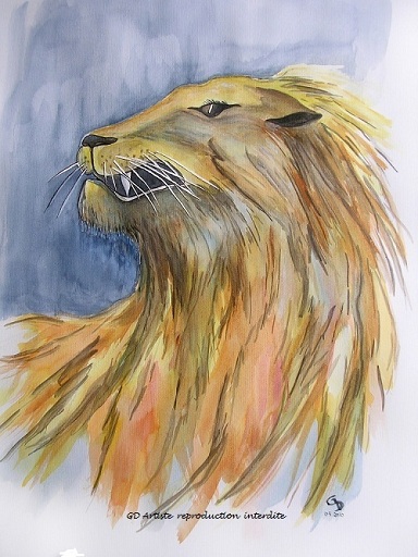 aquarelle,portrait animal,lion,gd artiste